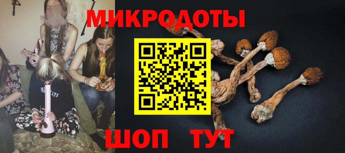 Галлюциногенные грибы Magic Shrooms  цены наркотик  Вход с VPN  Куйбышев  Псилоцибиновые грибы ЛСД 