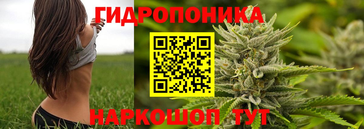 Куйбышев  Шишки марихуана конопля  Конопля Amnesia  Шишки марихуана AK-47  Вход с VPN 